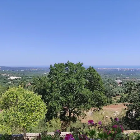 Oda ve Kahvaltı Dimora Del Cuore - Il Melograno Monopoli